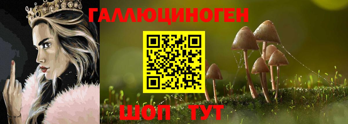 Галлюциногенные грибы мухоморы Кузнецк